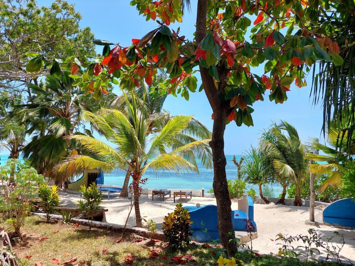 Queen Of Sheba Beach Lodge Pongwe Eksteriør bilde