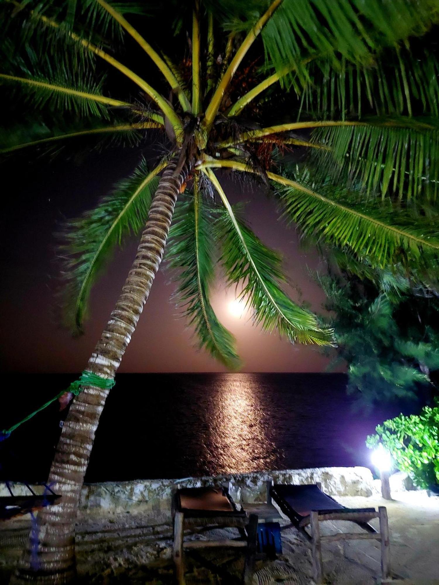 Queen Of Sheba Beach Lodge Pongwe Eksteriør bilde