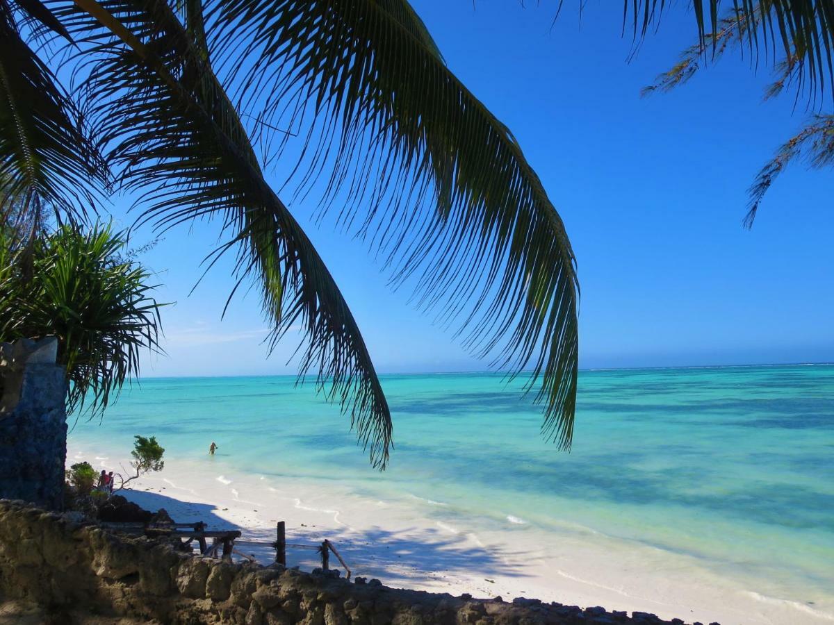 Queen Of Sheba Beach Lodge Pongwe Eksteriør bilde